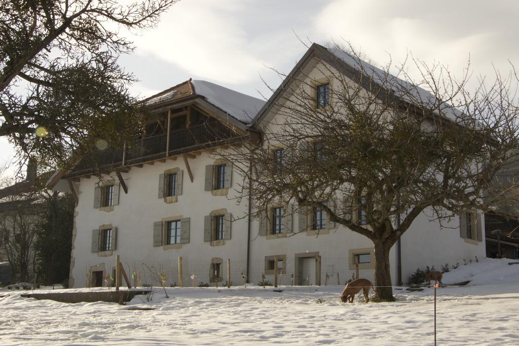 La Ferme de la Praz B&B Exterior foto